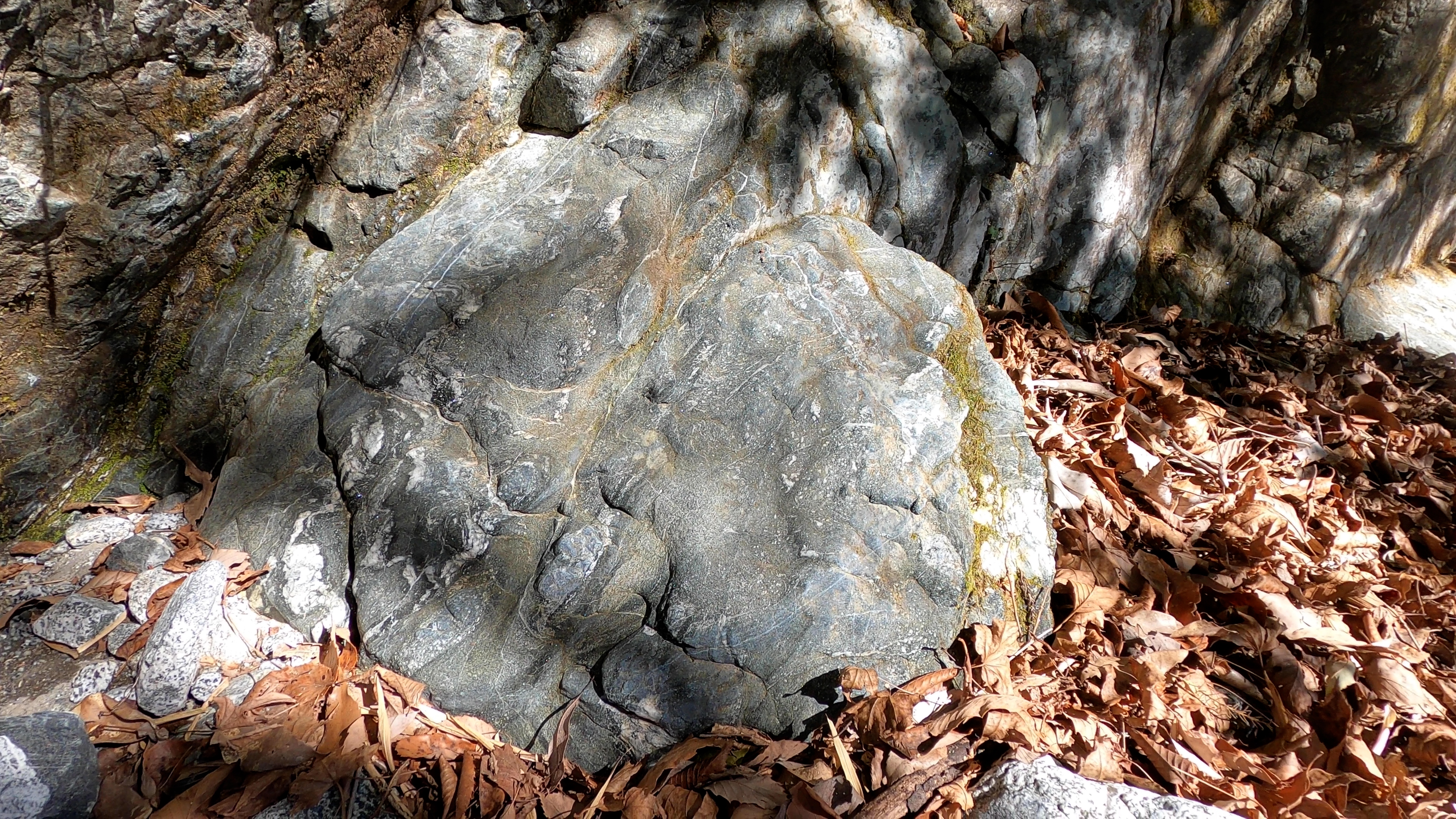 角閃岩露頭の拡大写真 角閃岩露頭の拡大写真