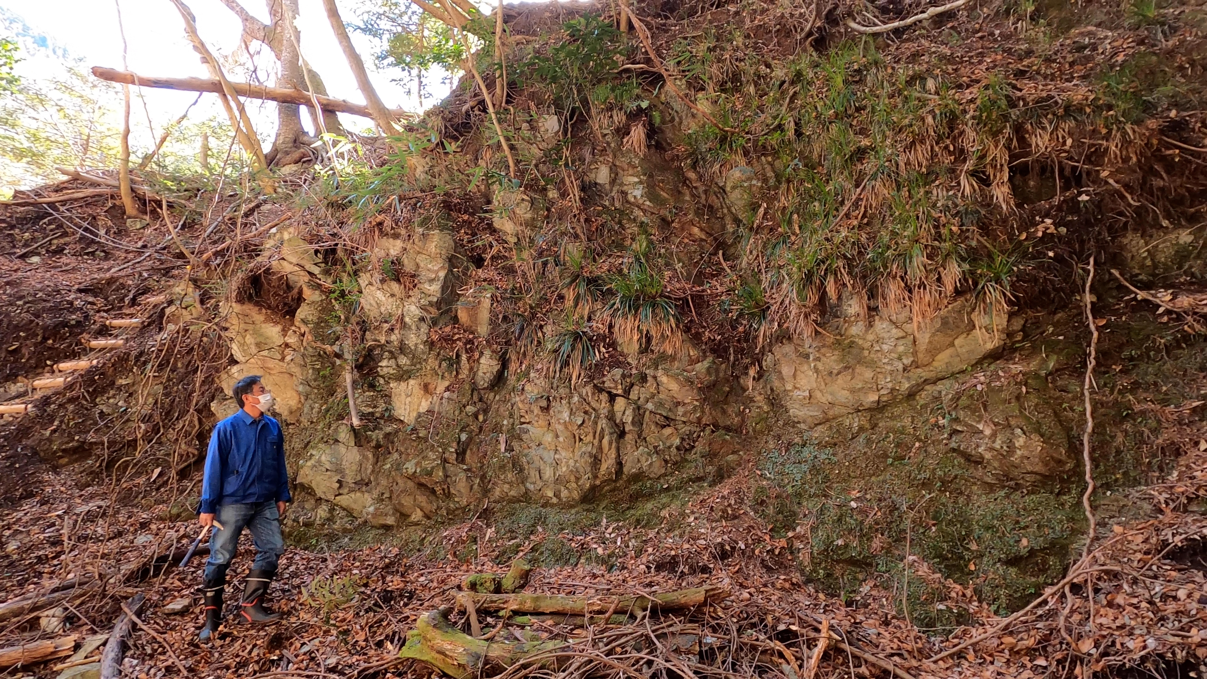 丹沢層群とトーナル岩の接触部の露頭