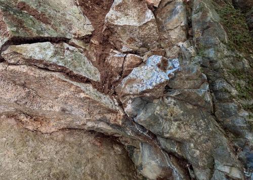 接触部の拡大写真