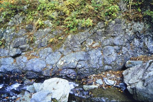 早戸川上流の枕状溶岩