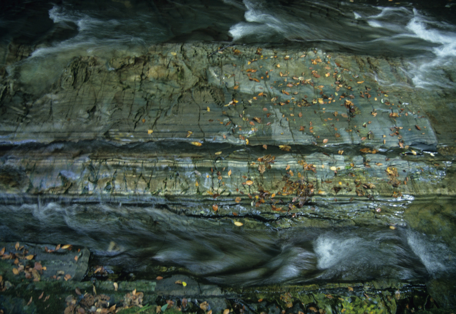 タービダイトの堆積構造が見られる凝灰岩露頭