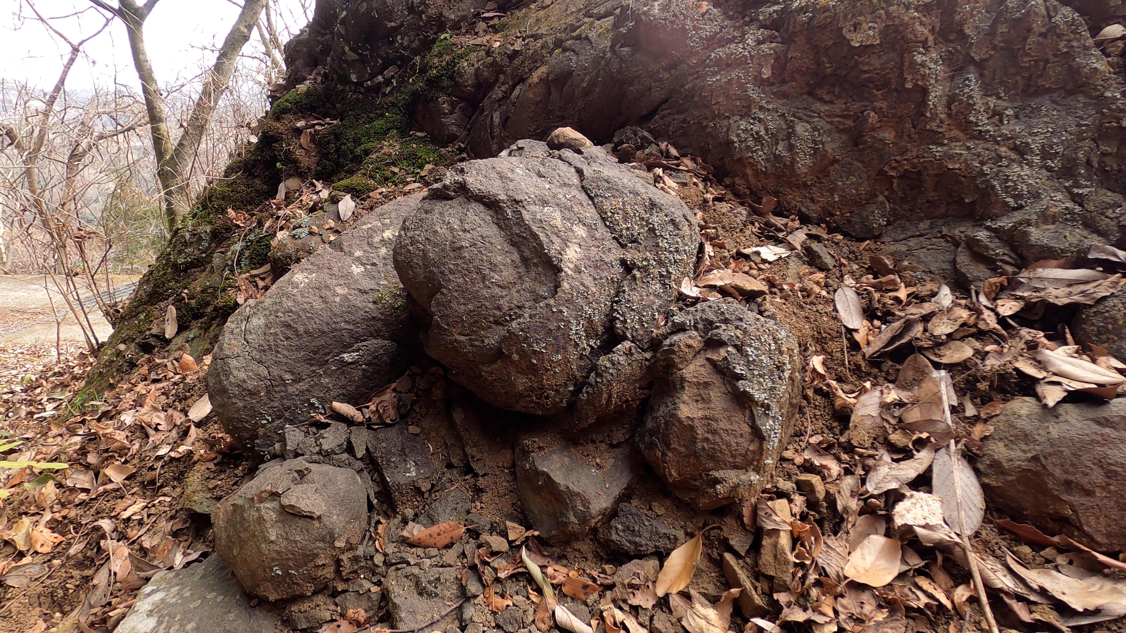 風化によって発達したたまねぎ状構造 風化によって発達したたまねぎ状構造
