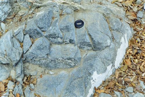 大棚沢の斑れい岩