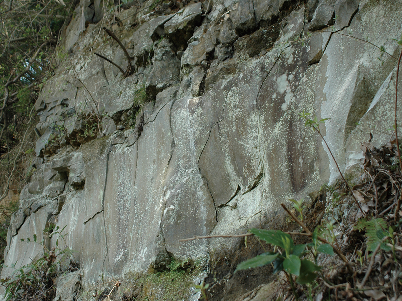 生命の星・地球博物館対岸の前期中央火口丘溶岩 生命の星・地球博物館対岸の前期中央火口丘溶岩