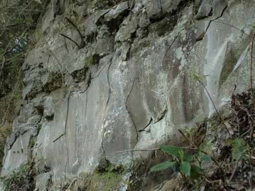 生命の星・地球博物館対岸の前期中央火口丘溶岩 生命の星・地球博物館対岸の前期中央火口丘溶岩