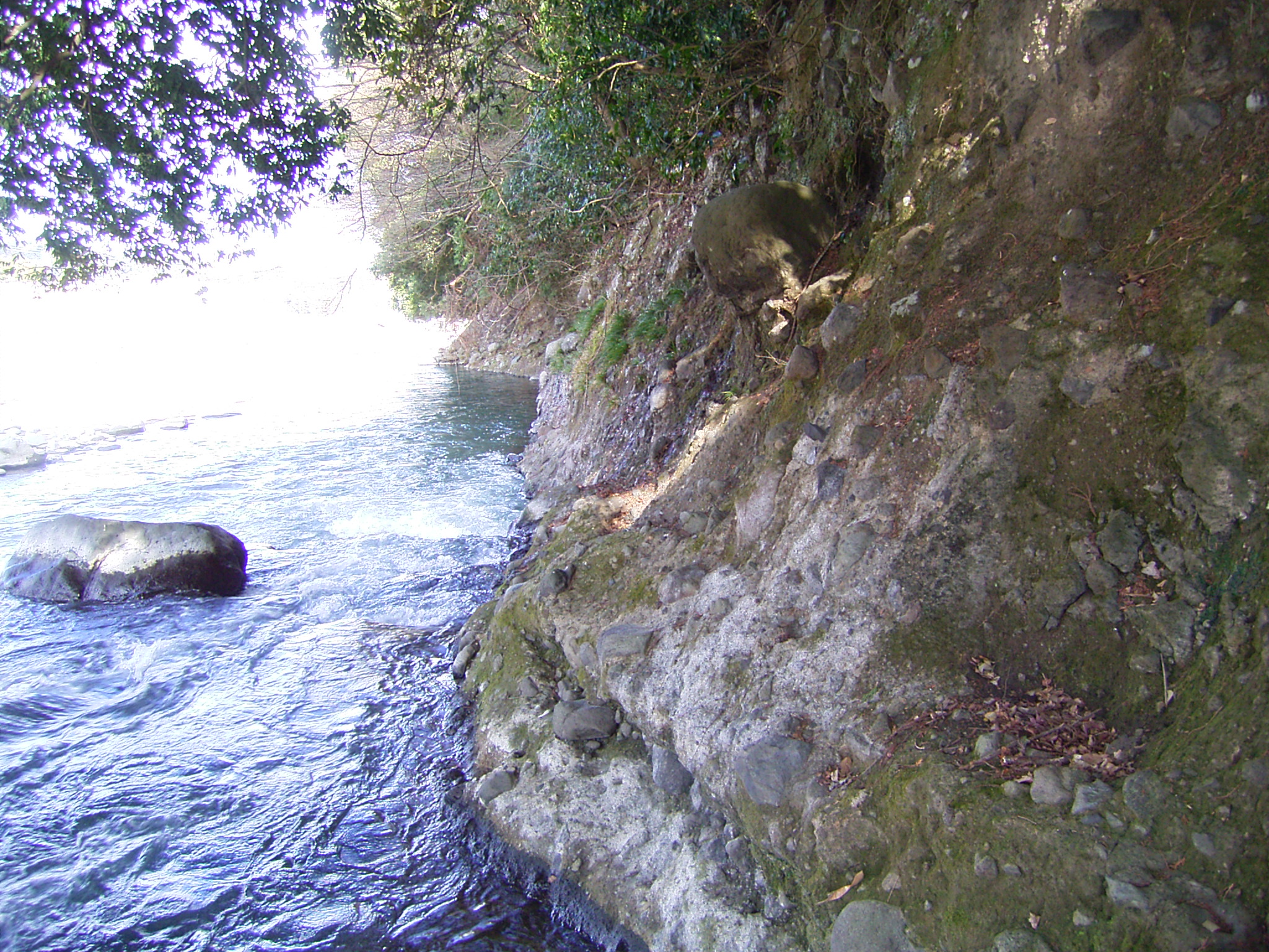 生命の星・地球博物館対岸の土石流堆積物 生命の星・地球博物館対岸の土石流堆積物