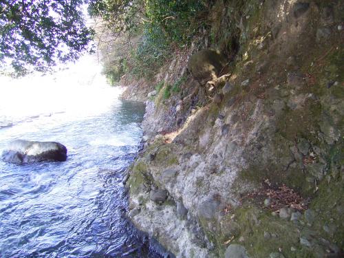 生命の星・地球博物館対岸の土石流堆積物 生命の星・地球博物館対岸の土石流堆積物