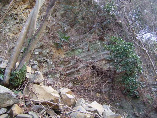 生命の星・地球博物館対岸の前期中央火口丘溶岩の柱状節理 生命の星・地球博物館対岸の前期中央火口丘溶岩の柱状節理