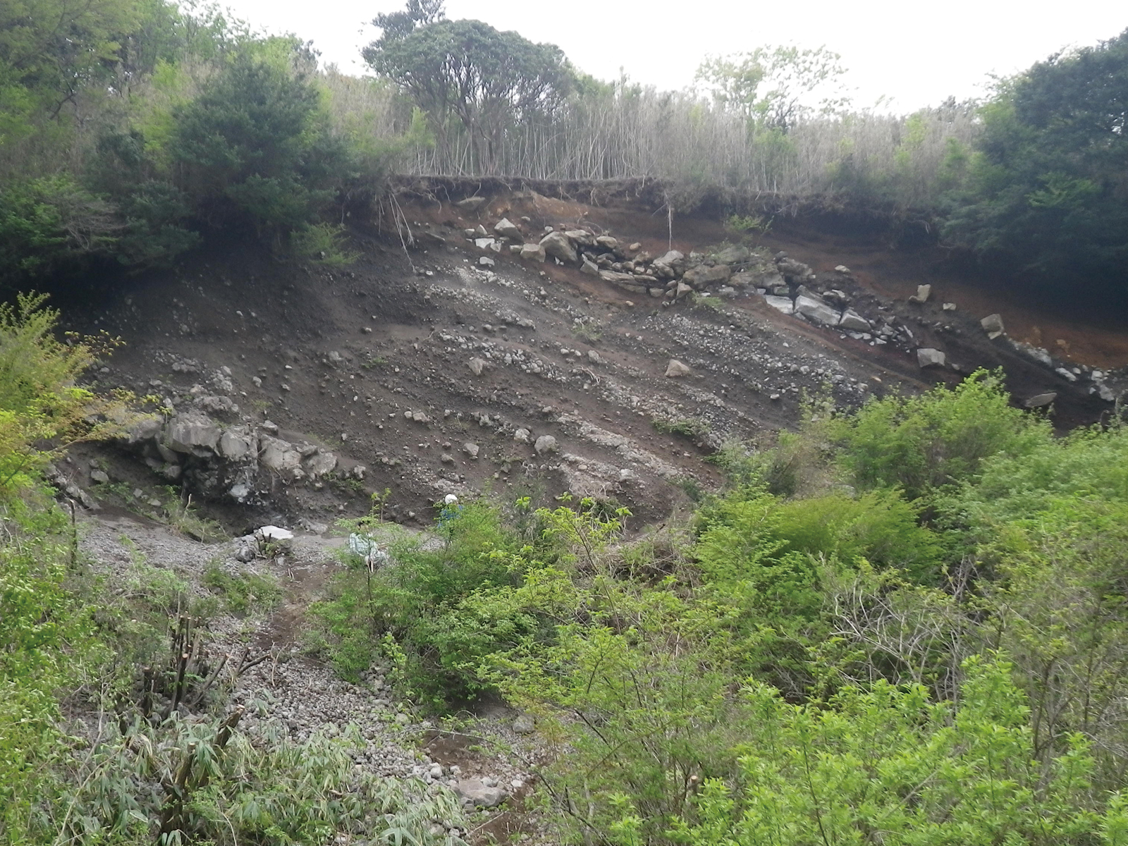 長尾峠の溶岩と火山灰の成層構造が見れれる露頭