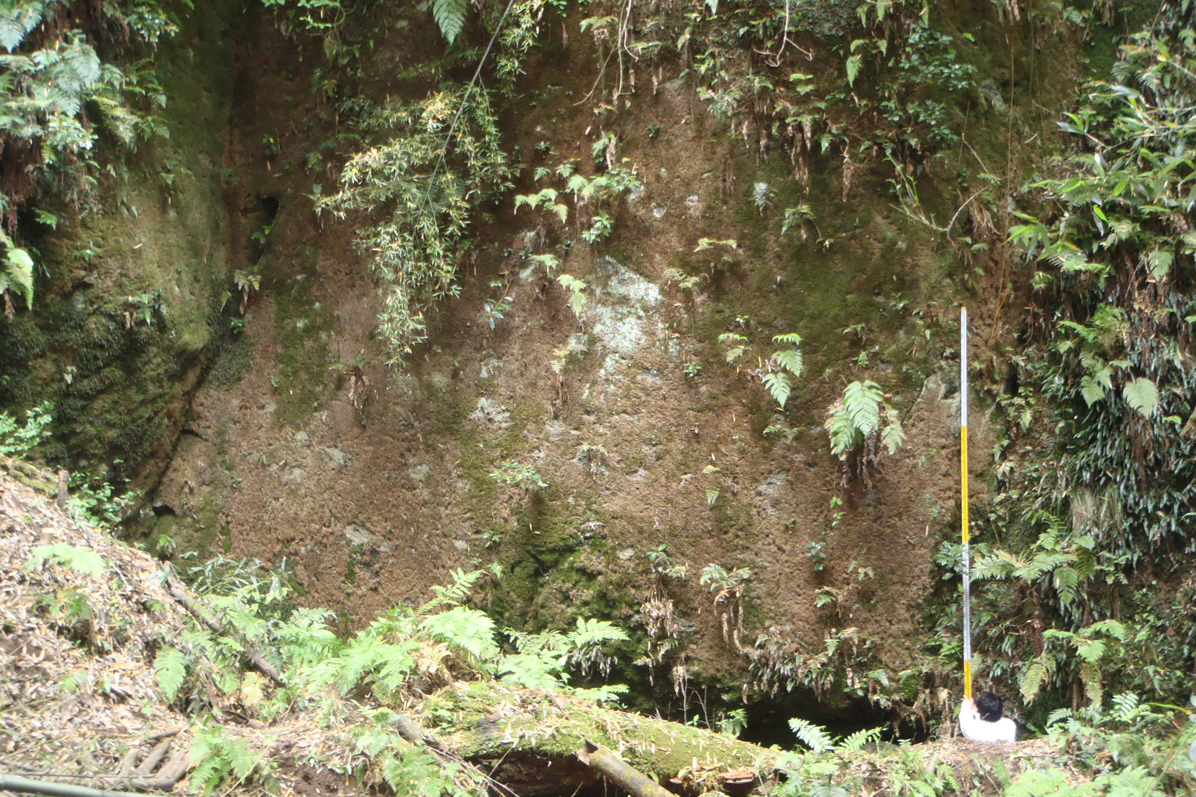 風祭石の採石場跡