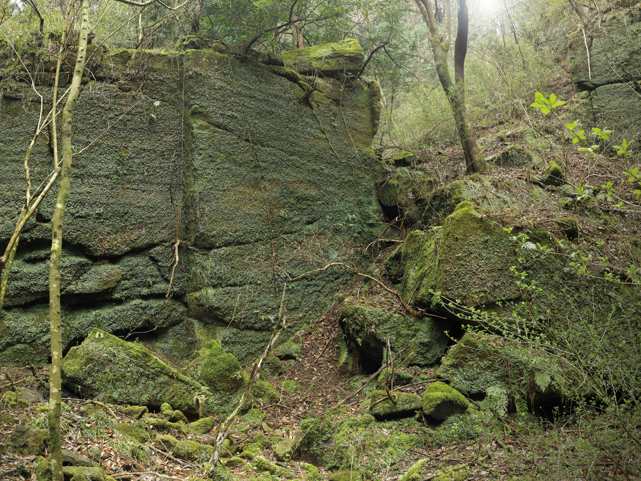 久野石の採石場跡