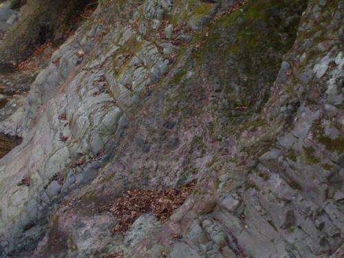 須雲川の岩脈と貫入母岩の拡大