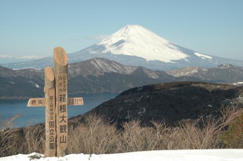 大観山からの展望