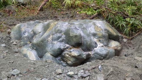 小菅沢の枕状溶岩