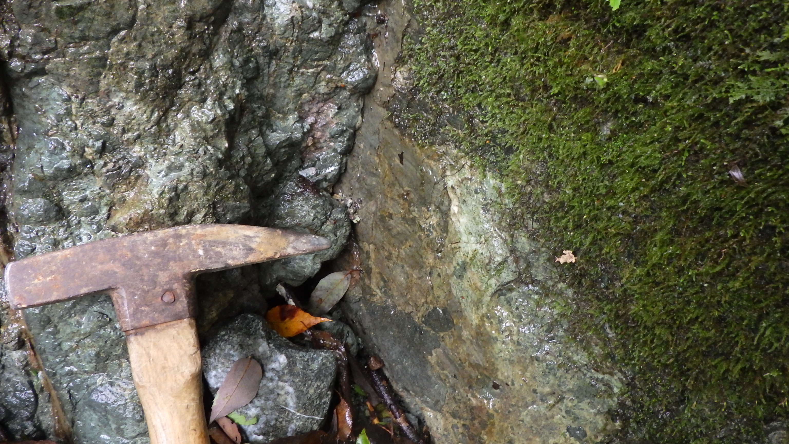 小菅沢で見られる断層