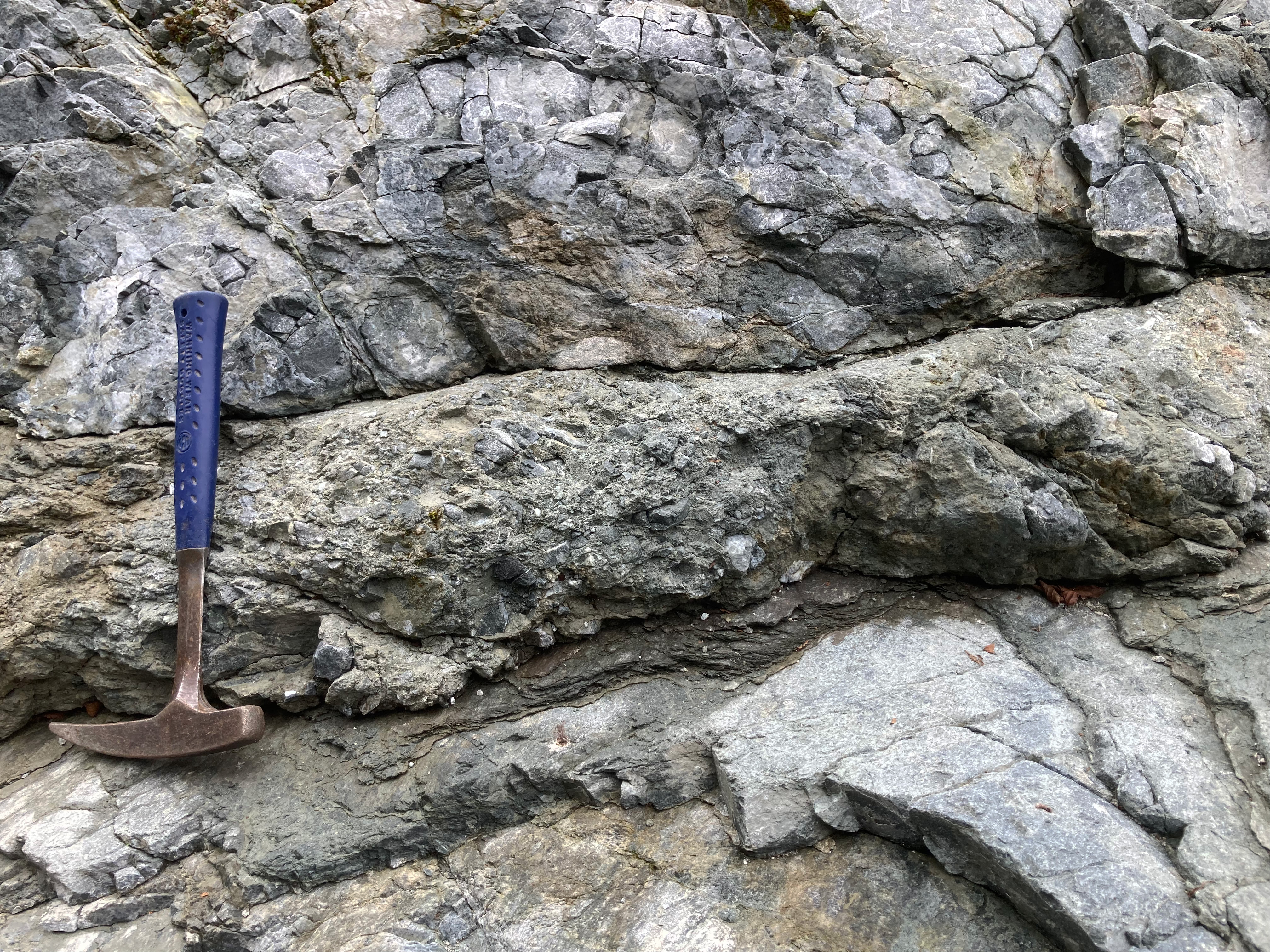 変トーナル岩に発達した断層岩類