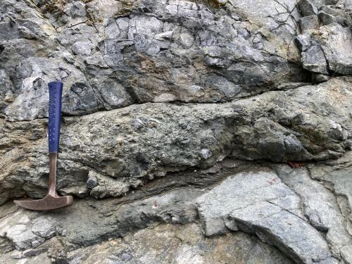 変トーナル岩に発達した断層岩類