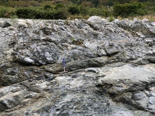変トーナル岩に発達した断層岩類（引き写真）