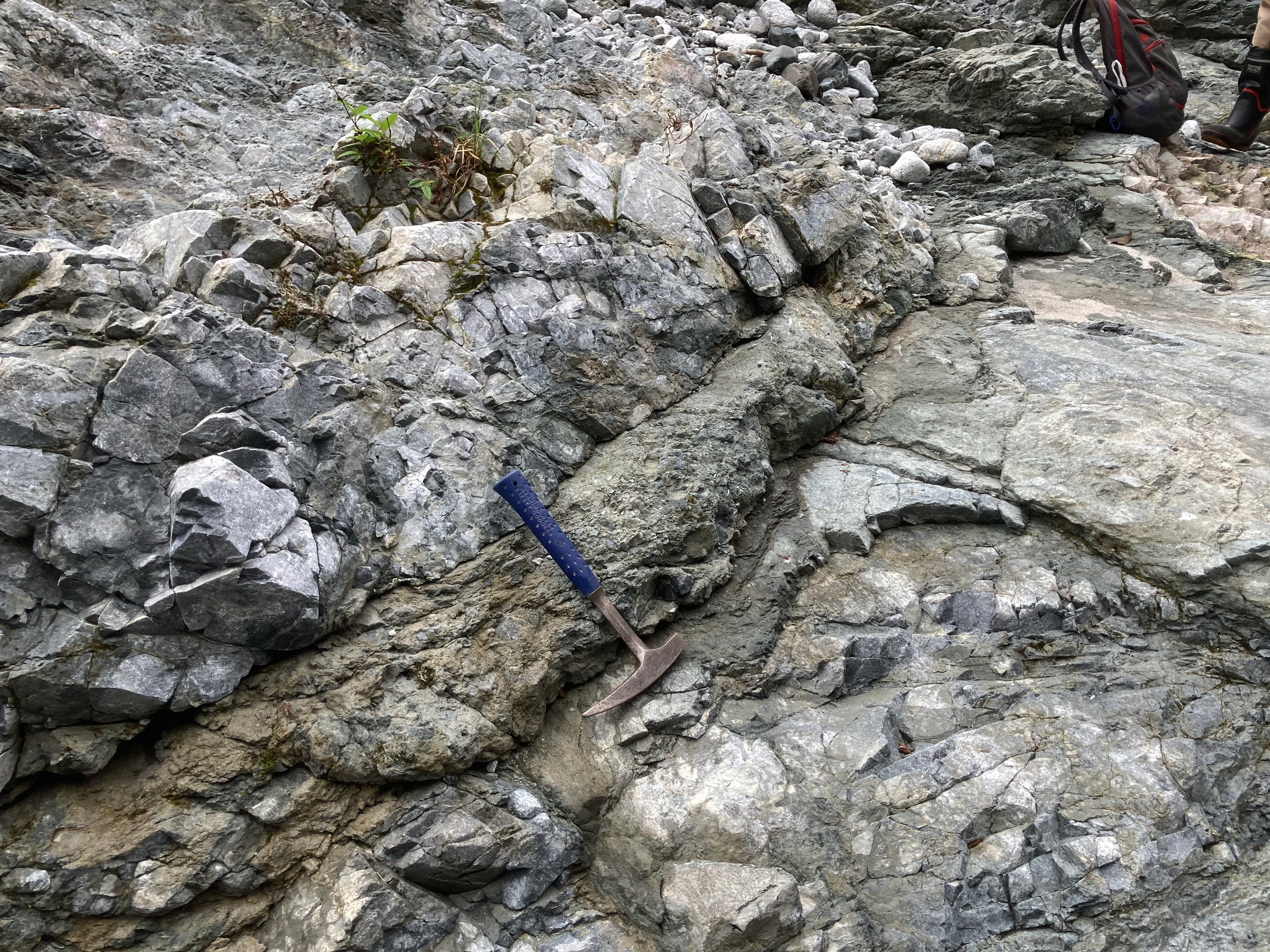 変トーナル岩に発達した断層岩類（斜めから撮影）