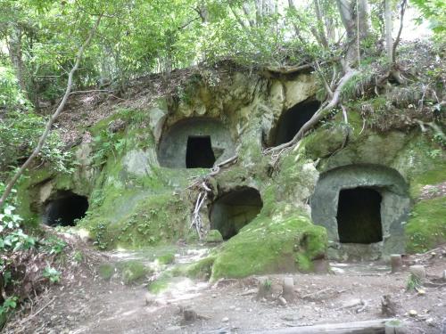楊谷寺谷戸横穴群の高麗山層群