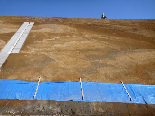 大井町山田の関東ローム層（断層で切られる多摩ローム層中のテフラ）