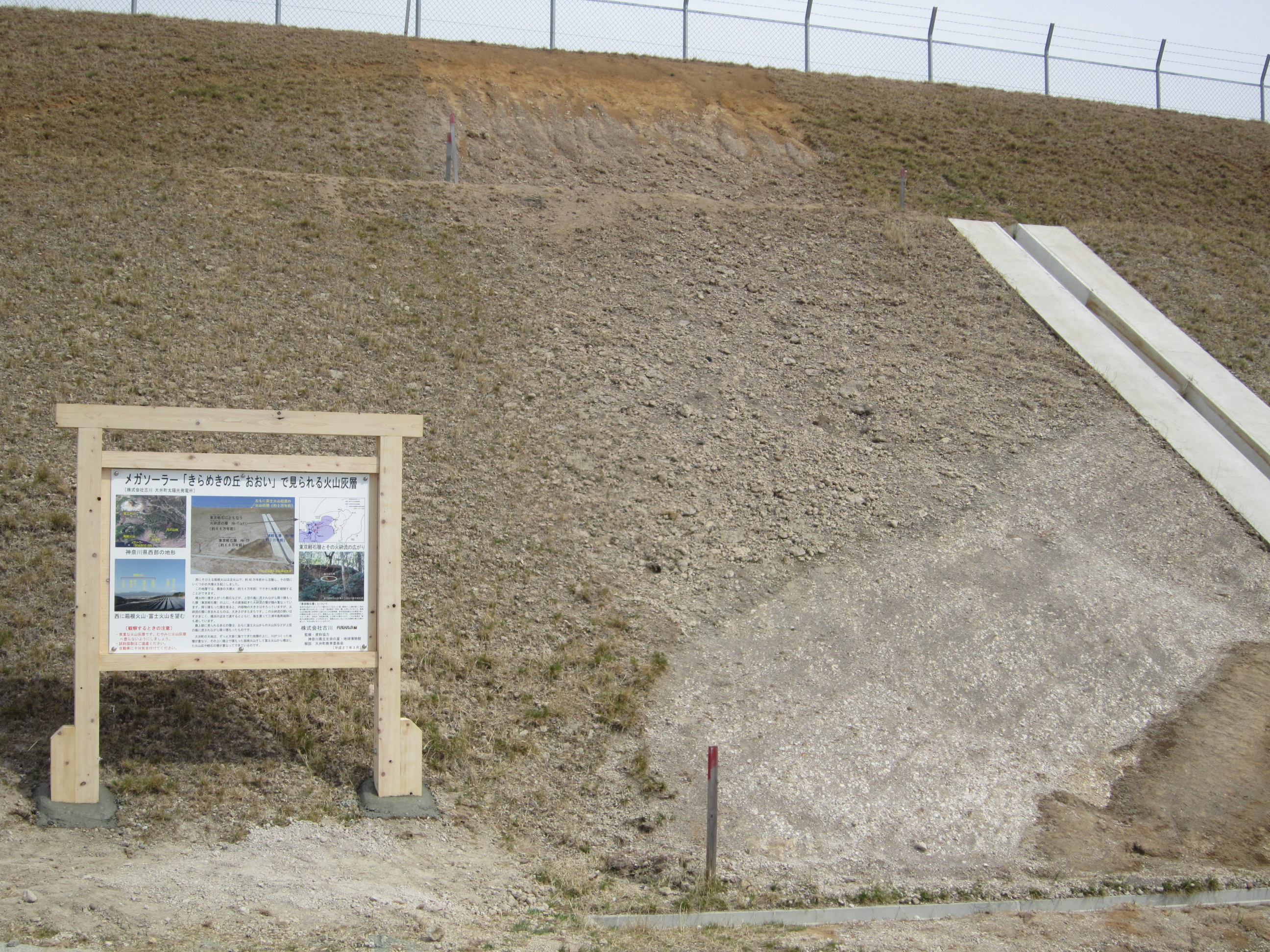 大井町山田の関東ローム層（箱根東京テフラの保存露頭）
