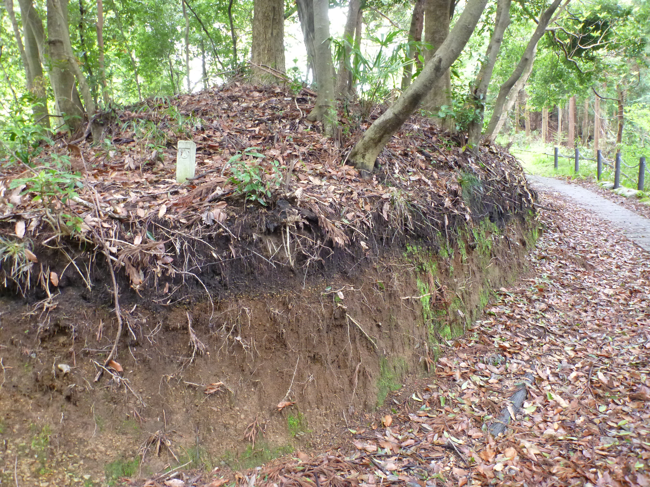 山北町山北の宝永スコリア層