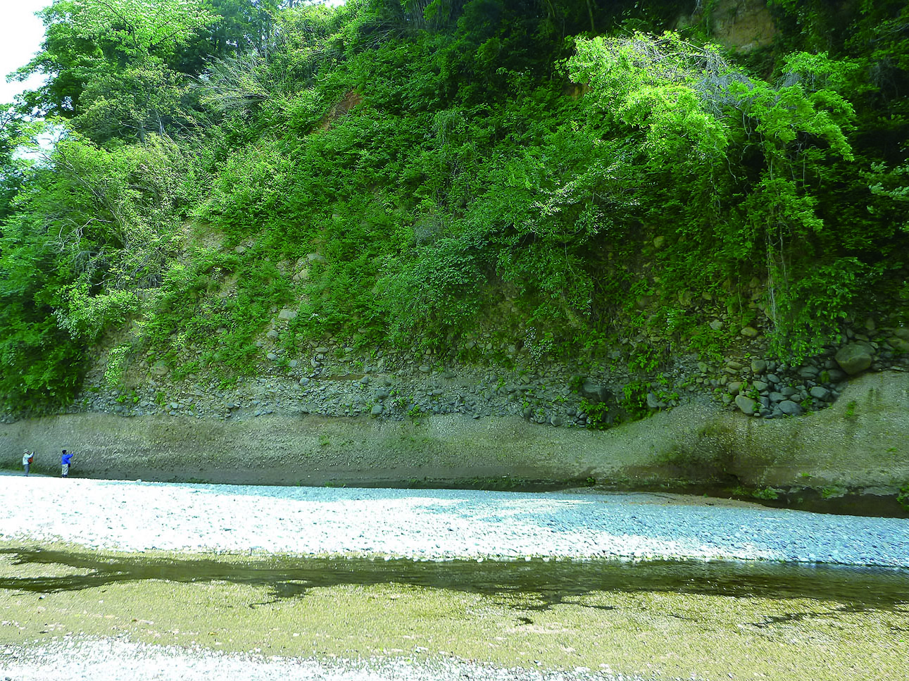 南足柄市内山の軽石流堆積物と段丘礫層