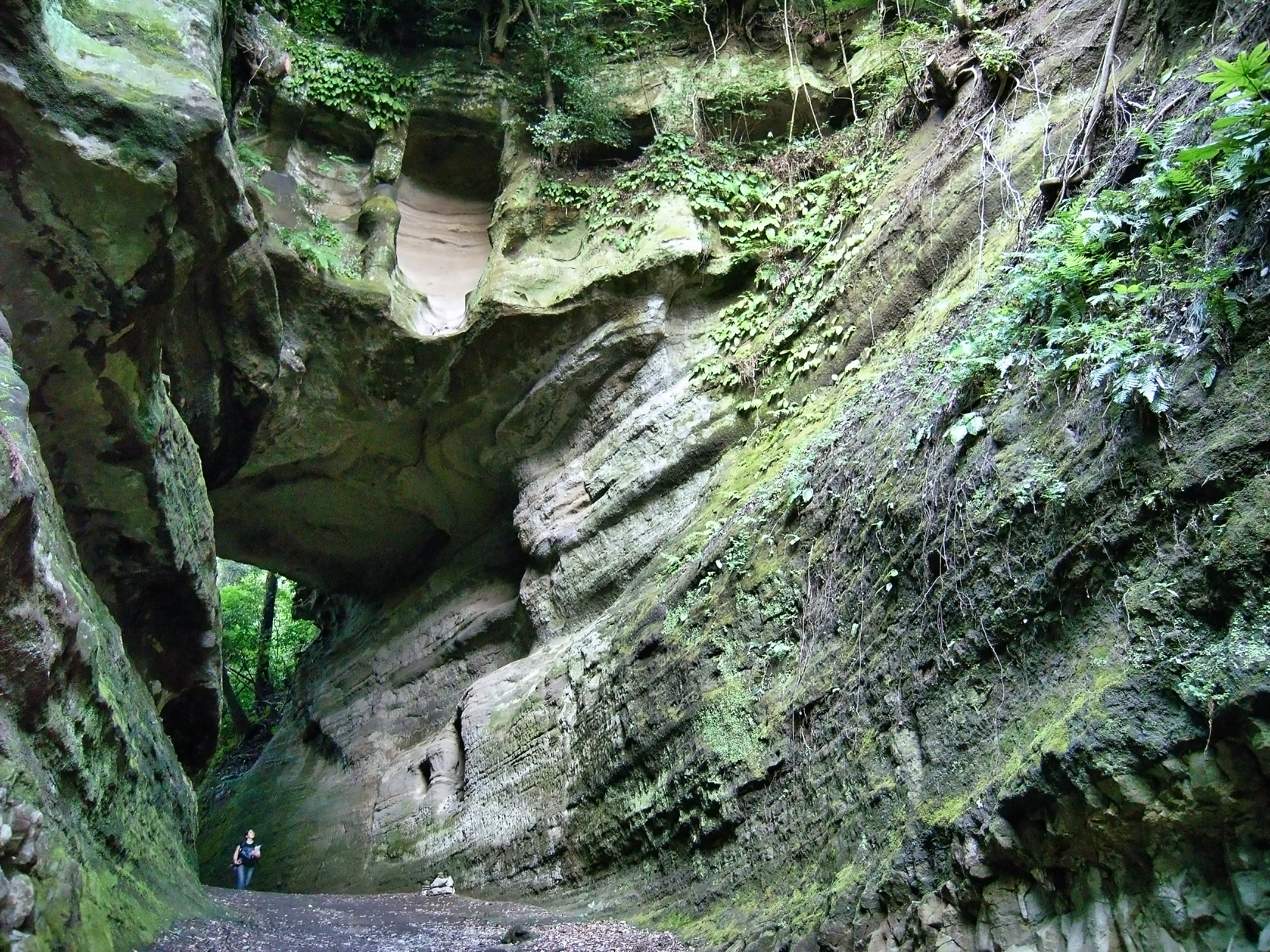 三浦層群逗子層を掘って開かれた釈迦堂切通