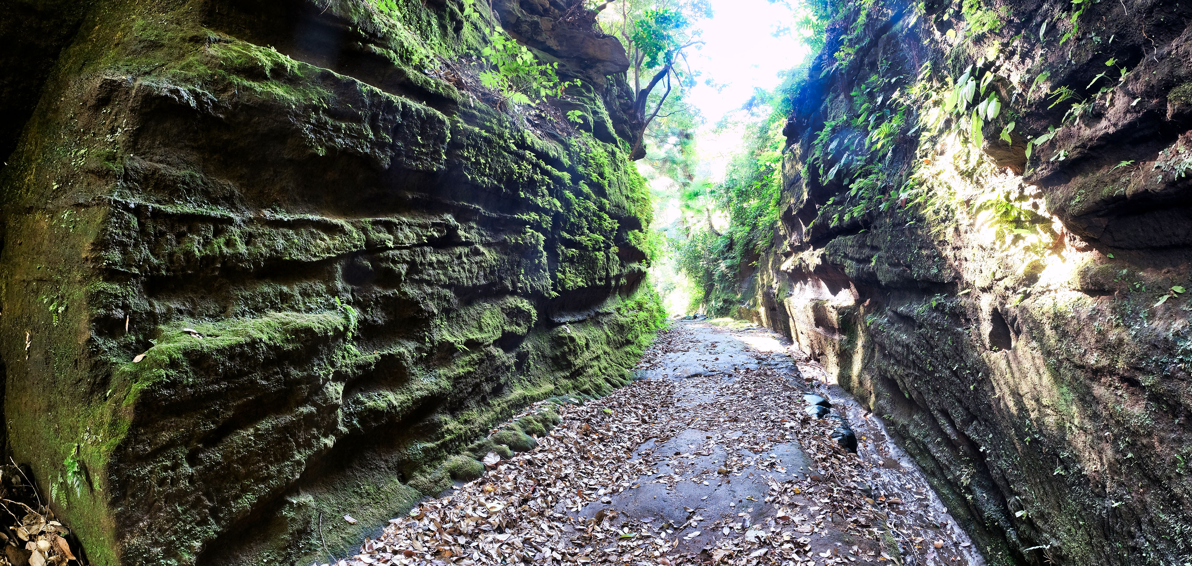 上総層群を掘って開かれた朝夷奈切通