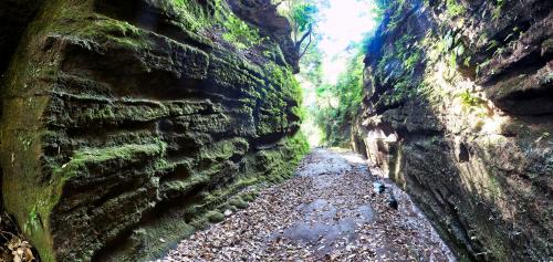 上総層群を掘って開かれた朝夷奈切通