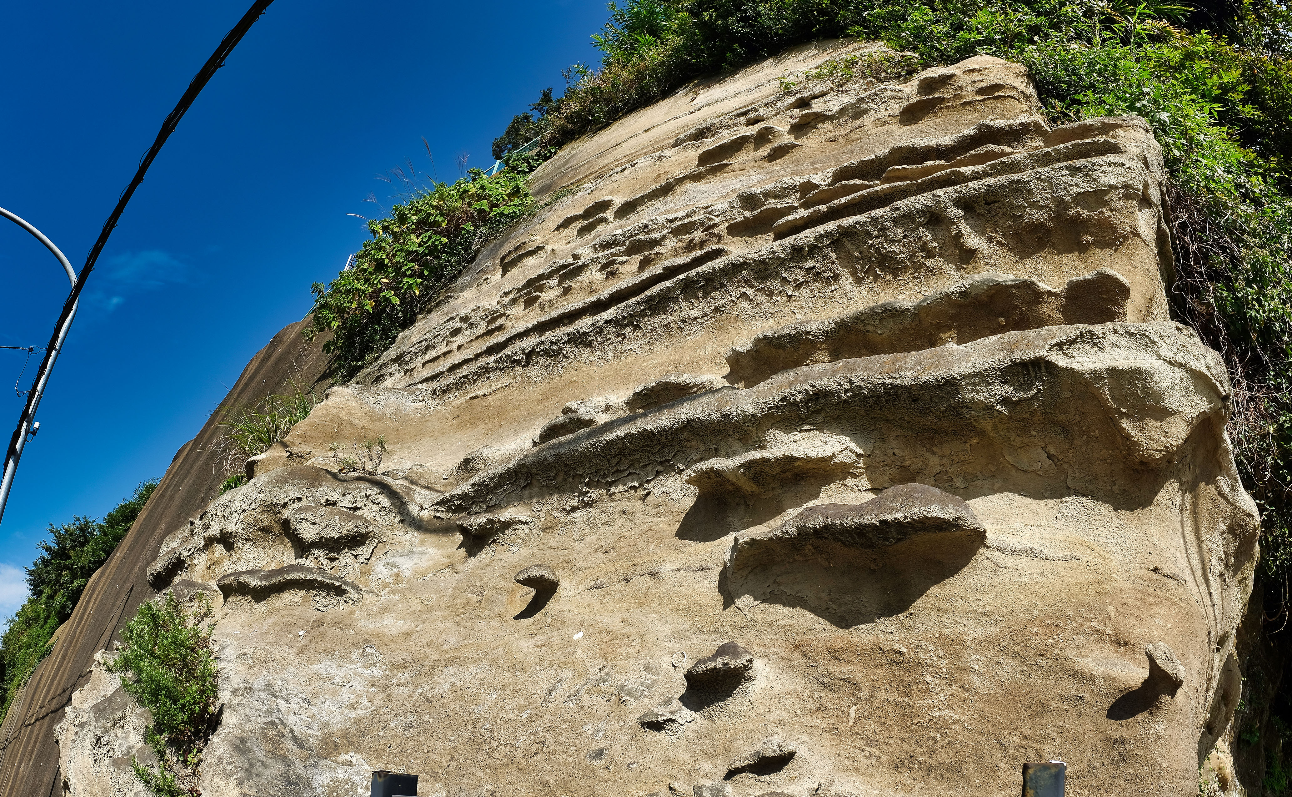 上総層群野島層を掘って造られた鼻欠地蔵