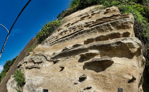上総層群野島層を掘って造られた鼻欠地蔵