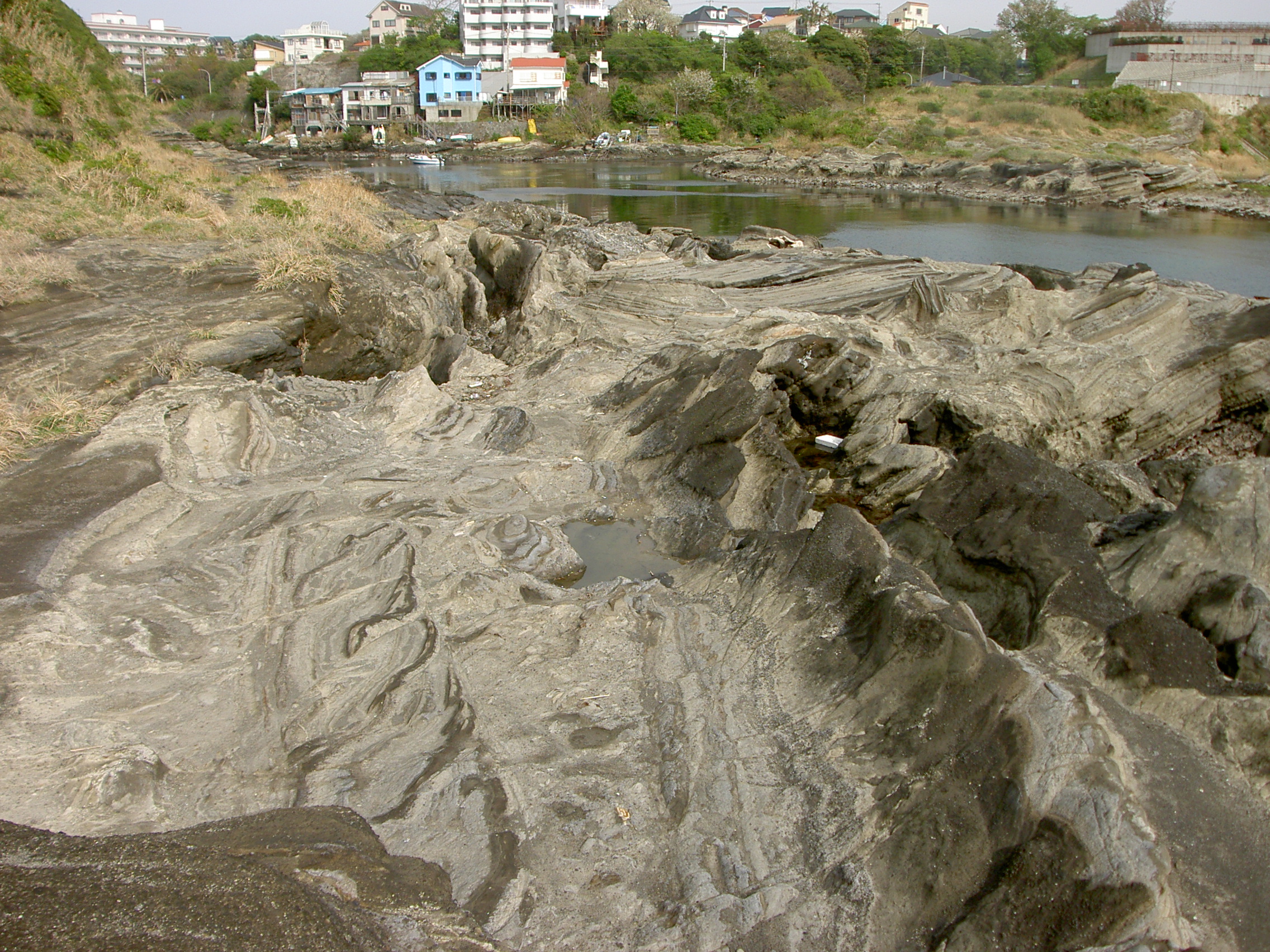 デュープレックス構造を持つブロックを含む三崎町諸磯の三浦層群三崎層