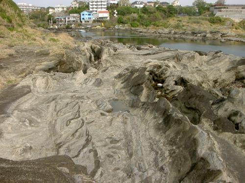 デュープレックス構造を持つブロックを含む三崎町諸磯の三浦層群三崎層
