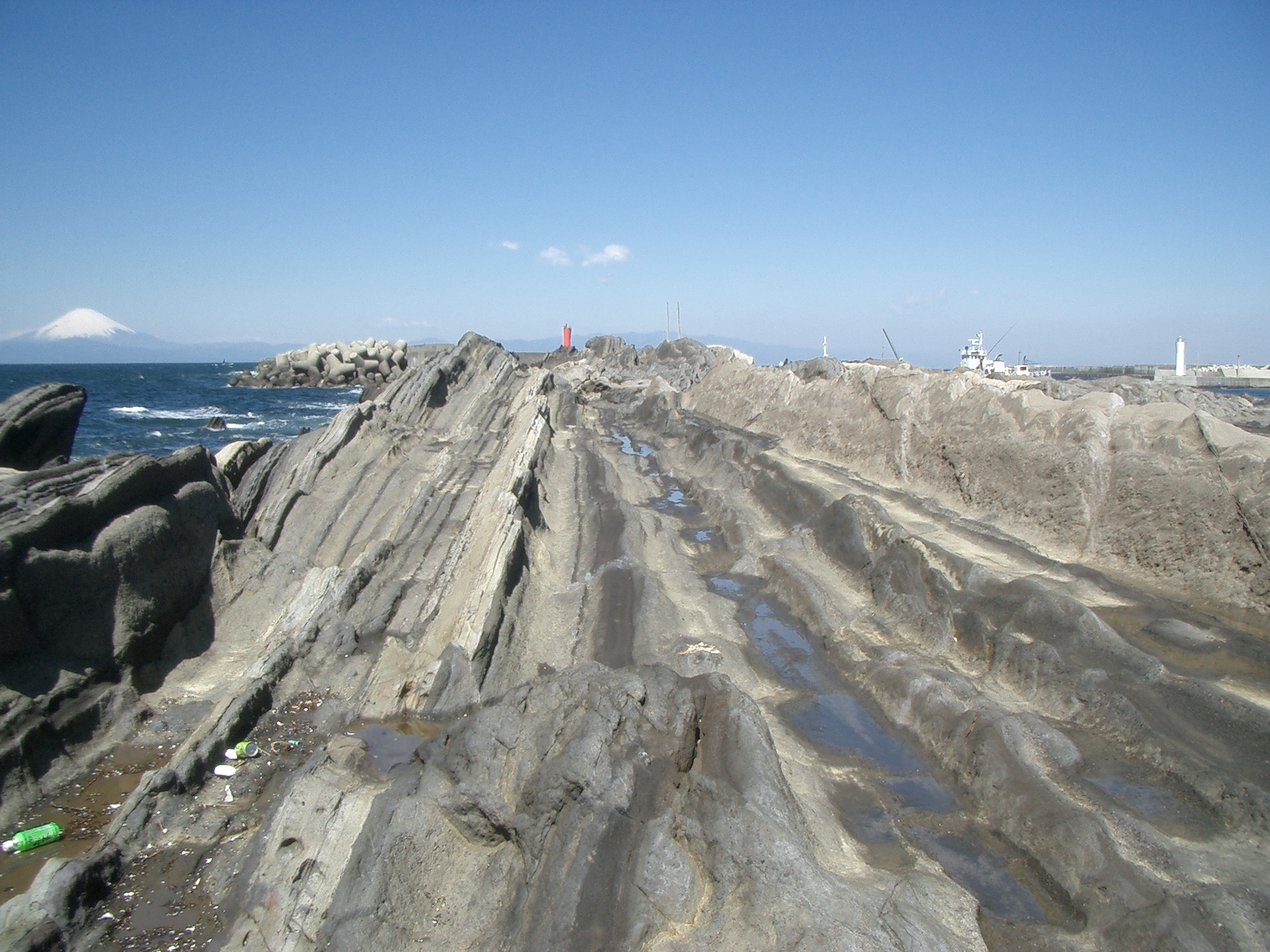 三崎町城ヶ島で見られる三浦層群三崎層