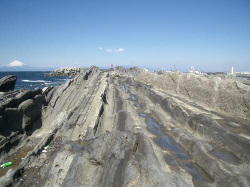 三崎町城ヶ島で見られる三浦層群三崎層