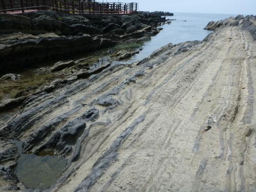 三崎町城ヶ島の三浦層群三崎層のスランプ構造