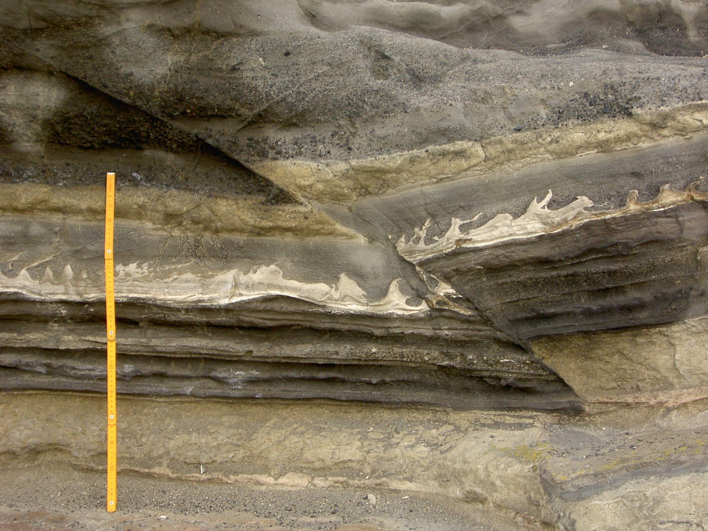 三崎町城ヶ島の三浦層群三崎層（火炎構造と小断層）