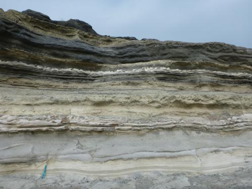 三崎町城ヶ島の三浦層群三崎層（火炎構造）