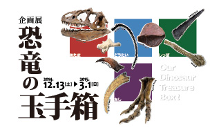 企画展「恐竜の玉手箱」Our Dinosaur Treasure Box! 2014年12月13日土曜日から2015年3月1日日曜日まで