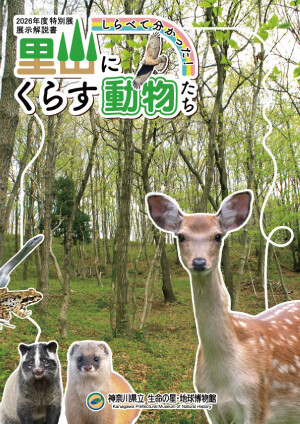 2026tokuten_tenjikaisetusho.jpg