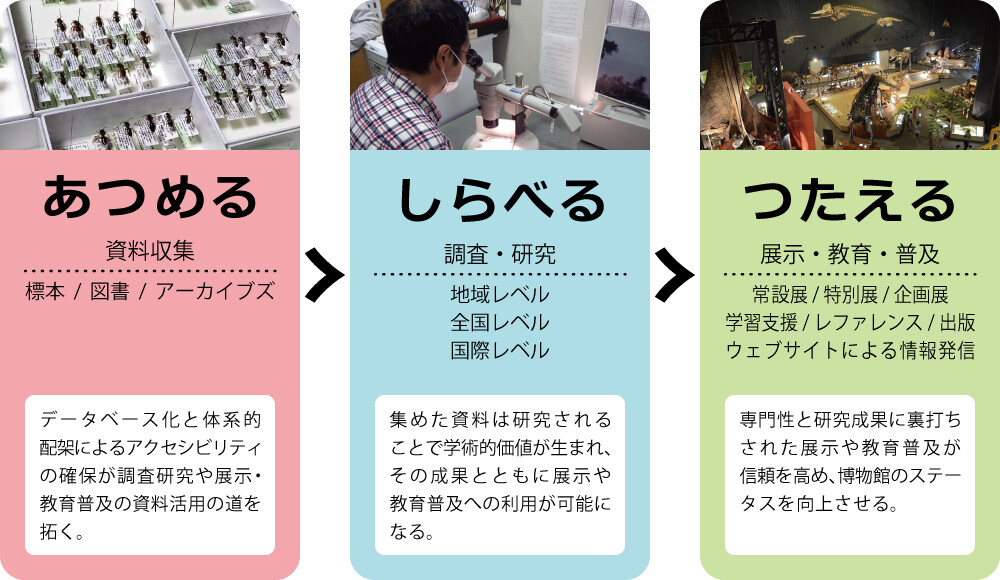 hkaubutsukan_sanbonbashira.jpg