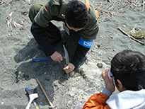 講座で化石採集の画像