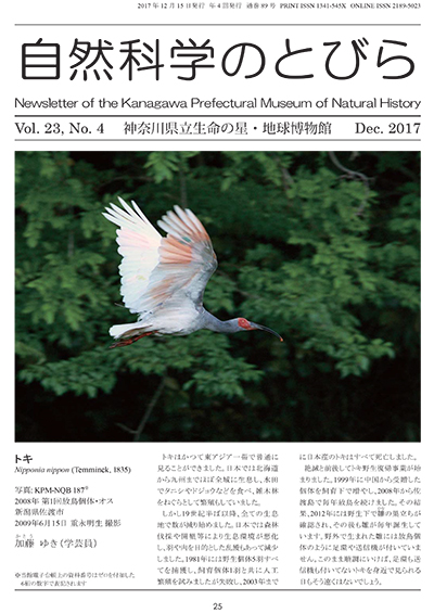 自然科学のとびら Vol.23, No.4　表紙