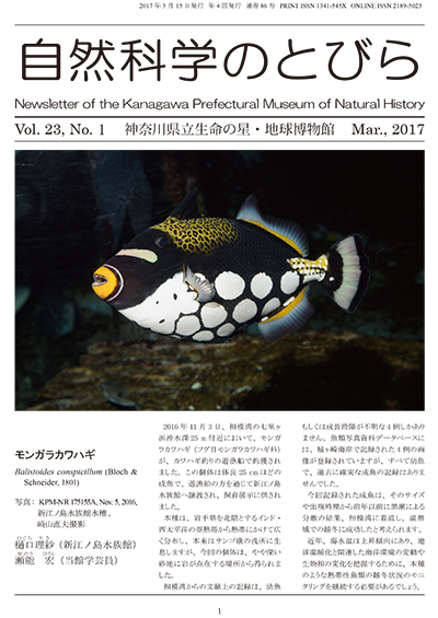 自然科学のとびら Vol.23,No.1　表紙