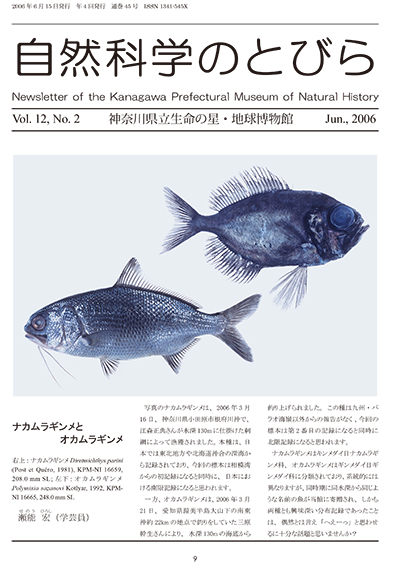 自然科学のとびら Vol.12 No.2　表紙