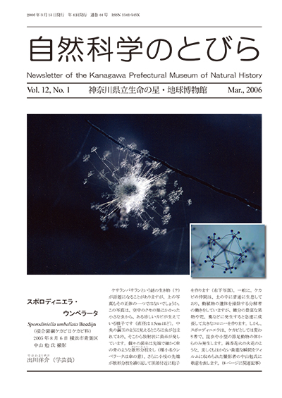 自然科学のとびら Vol.12,No.1　表紙
