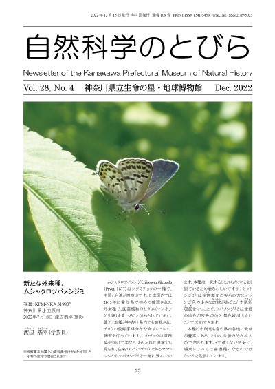 自然科学のとびら Vol.28,No.4　表紙