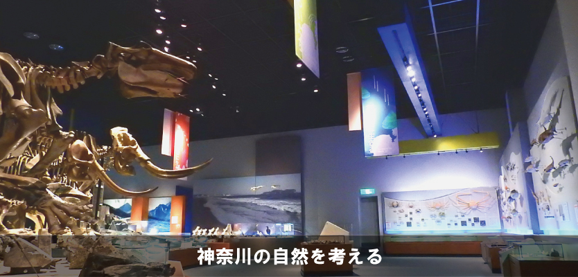 神奈川の自然を考える全景（大）写真